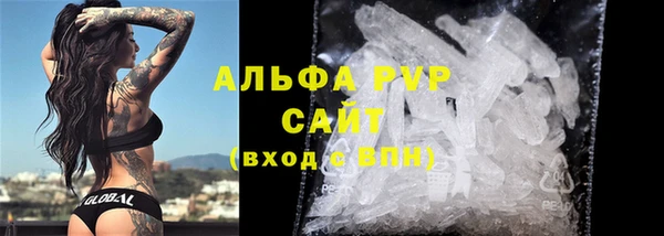 твердый Богданович