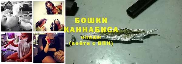 твердый Богданович