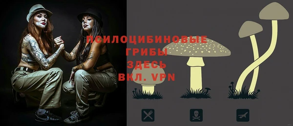 твердый Богданович