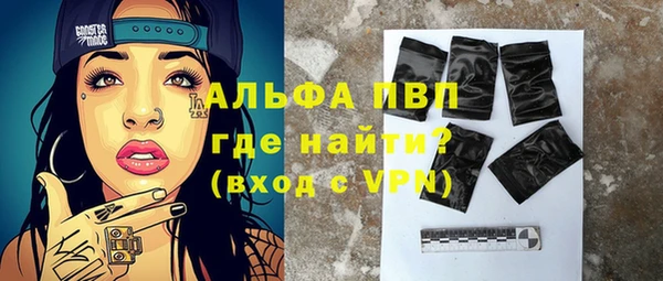 твердый Богданович