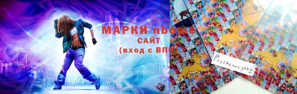 соль ск Богородицк